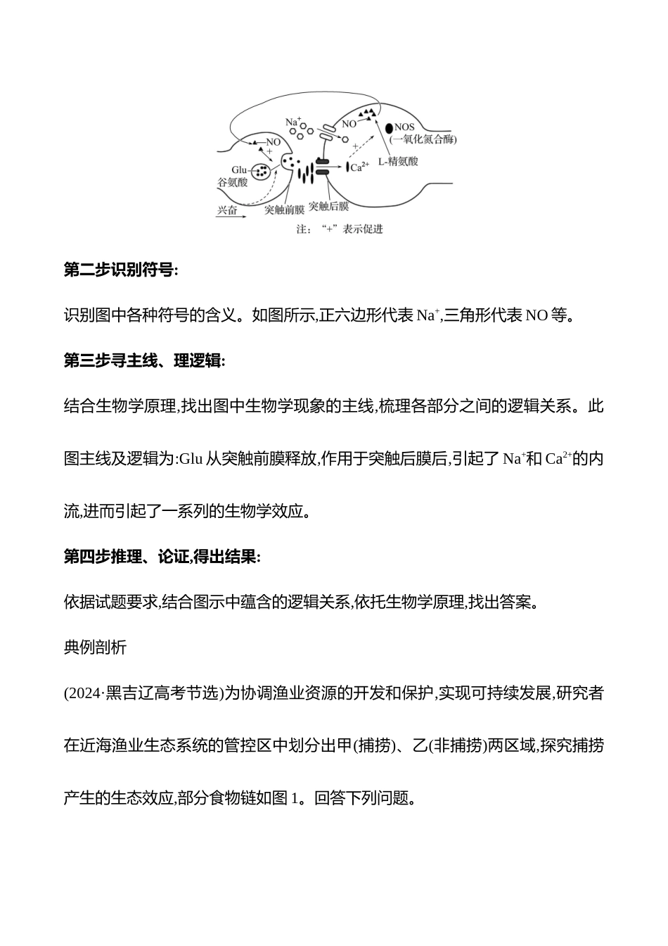 专项一　关键能力二　信息获取与加工——图示类-2025版世纪金榜二轮生物收官专项辅导与训练.docx_第3页