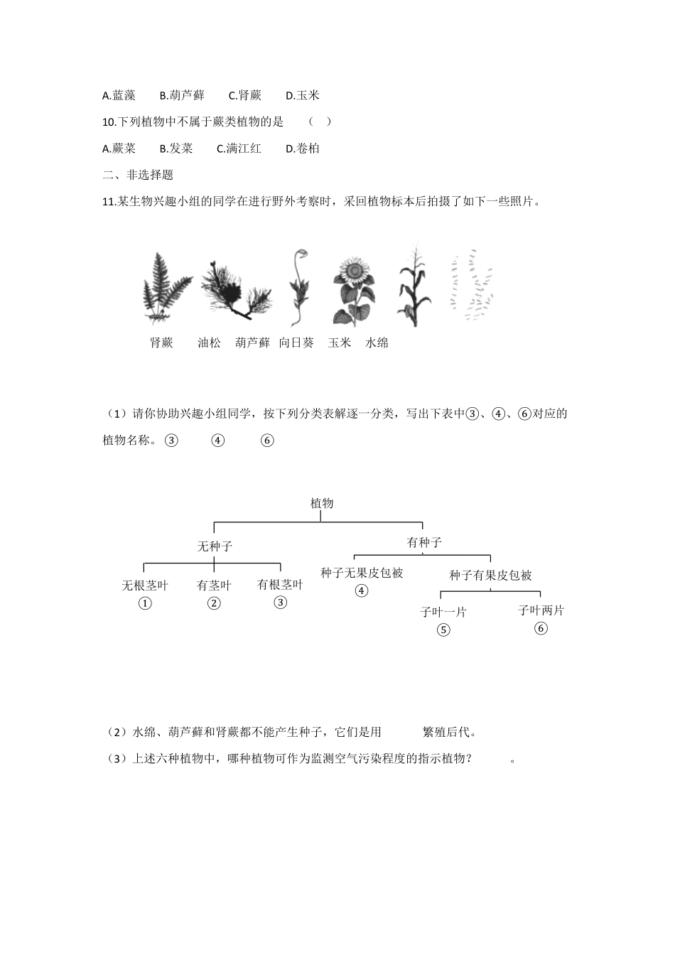 藻类、苔藓和蕨类植物课时练试卷5含答案.pdf_第2页
