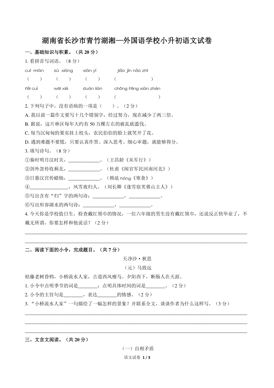 湖南省长沙市青竹湖湘一外国语学校小升初语文试卷.pdf_第1页