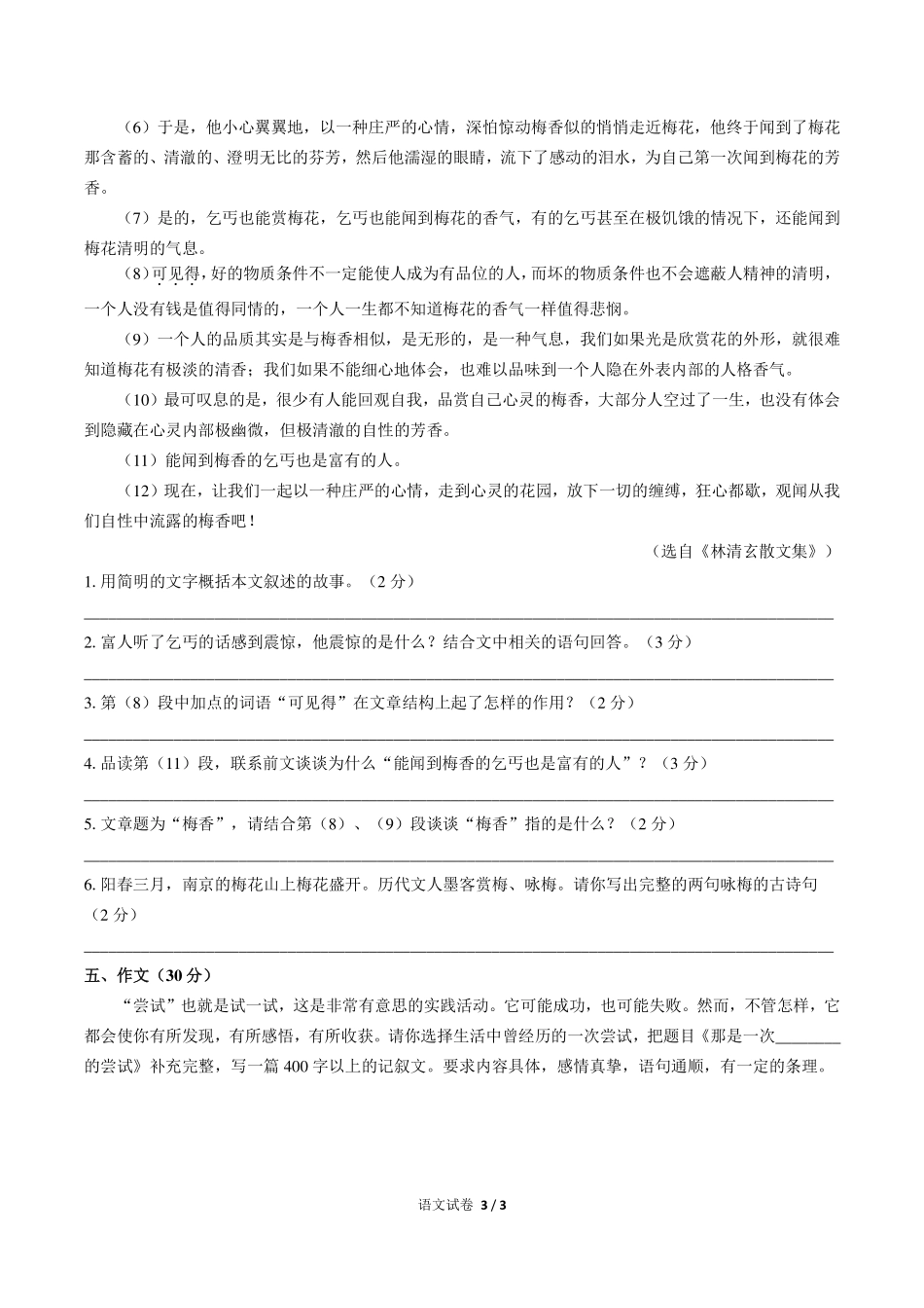 湖南省长沙市青竹湖湘一外国语学校小升初语文试卷.pdf_第3页
