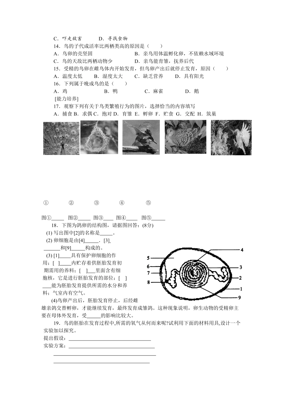 7.1.4《鸟的生殖和发育》同步练习4.pdf_第2页