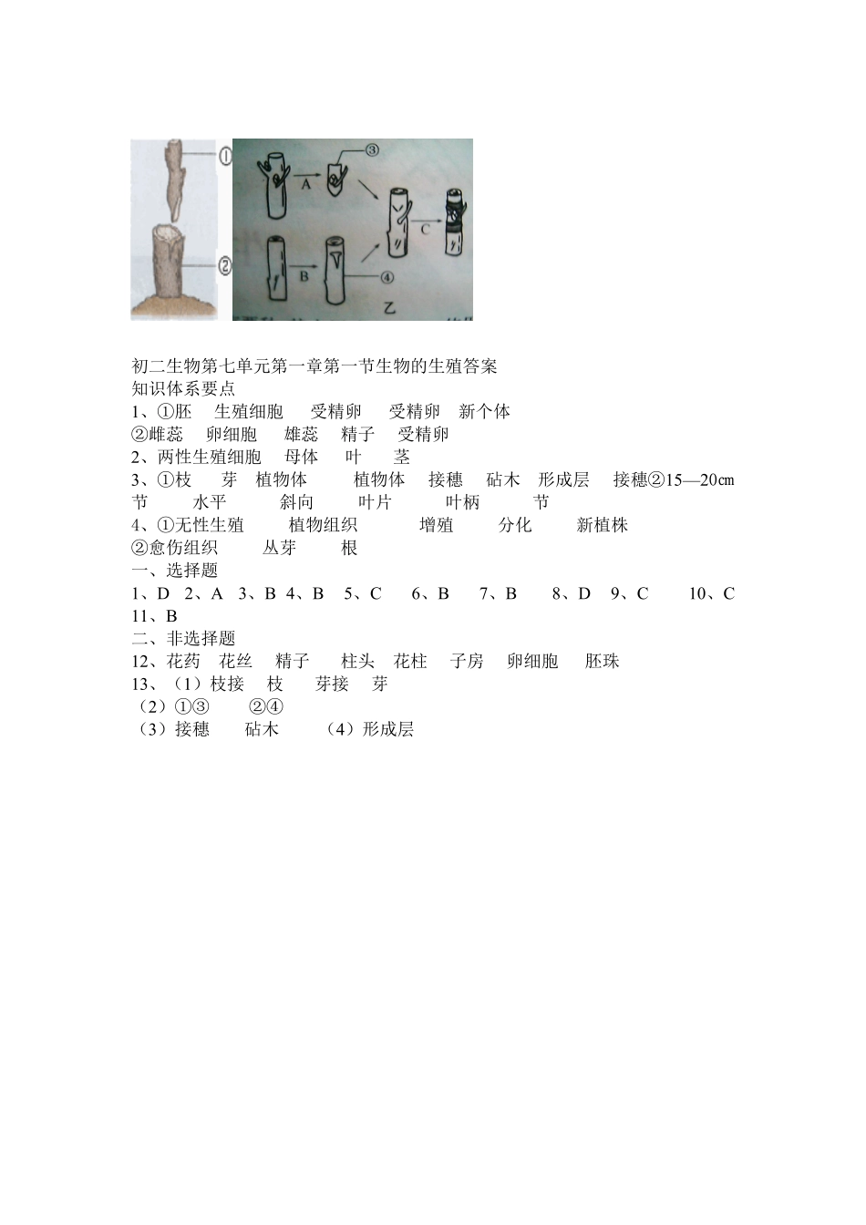 7.1.1植物的生殖同步练习3含答案.pdf_第3页