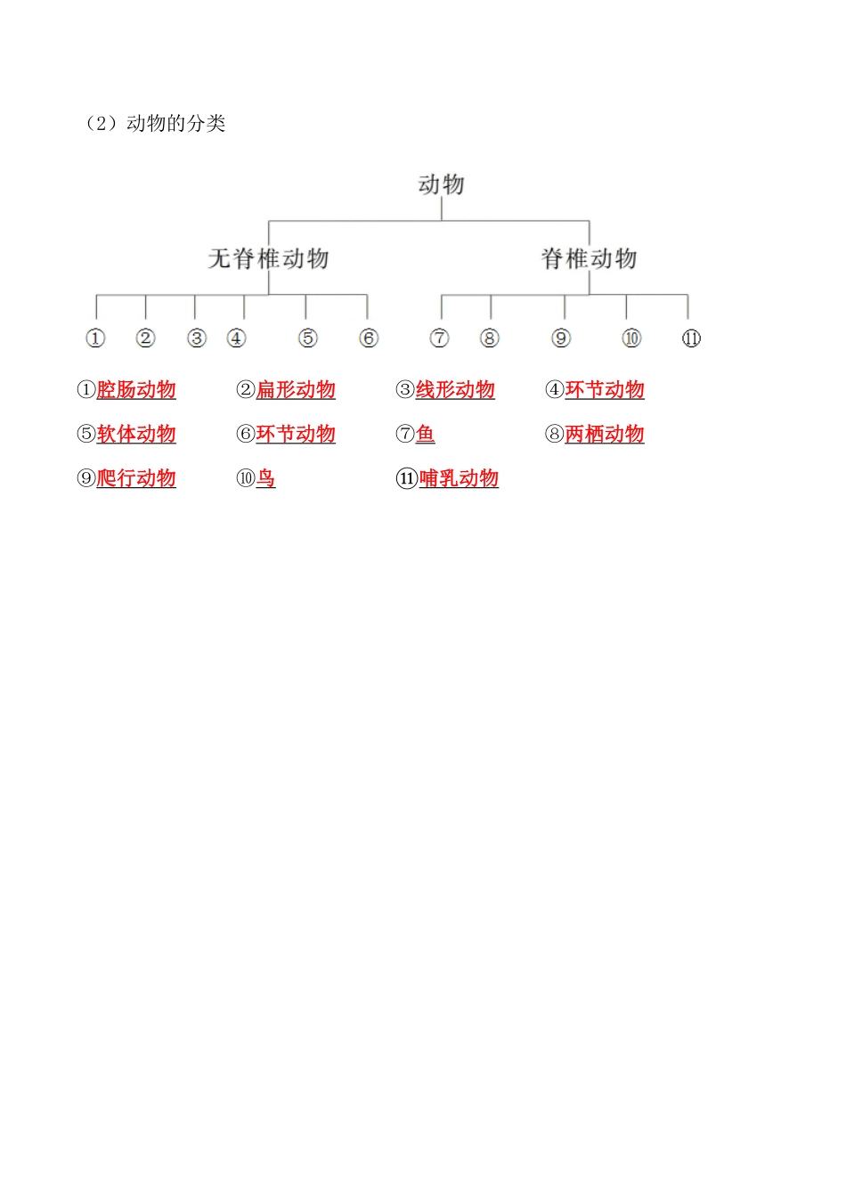 6.1.1尝试对生物进行分类八年级生物上册课后培优分级练人教版解析版.pdf_第2页