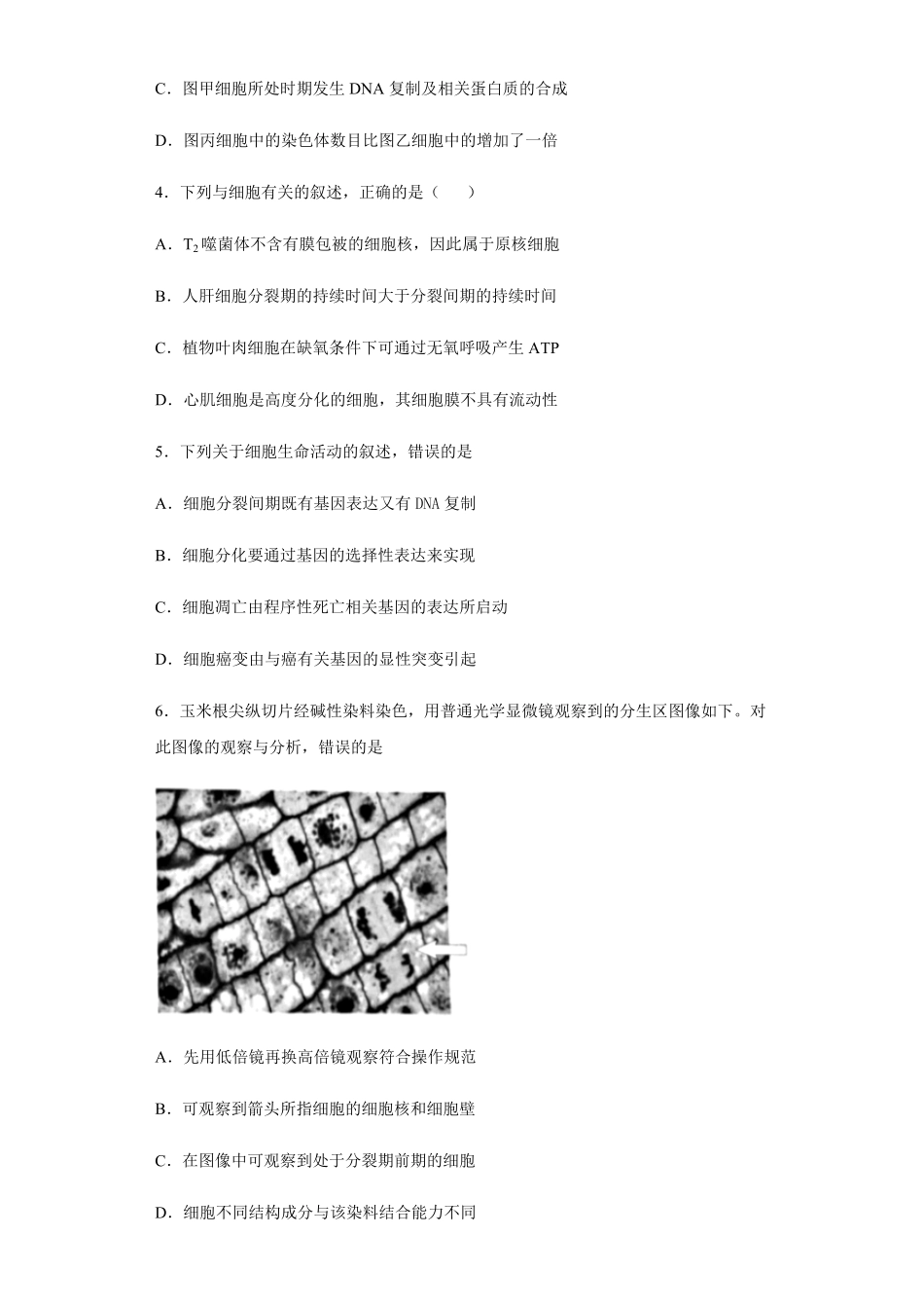 6.1 细胞的增殖 练习【新教材】人教版2019高中生物必修一含答案.pdf_第2页