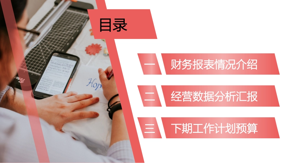 财务工作汇报数据分析21.pptx_第2页