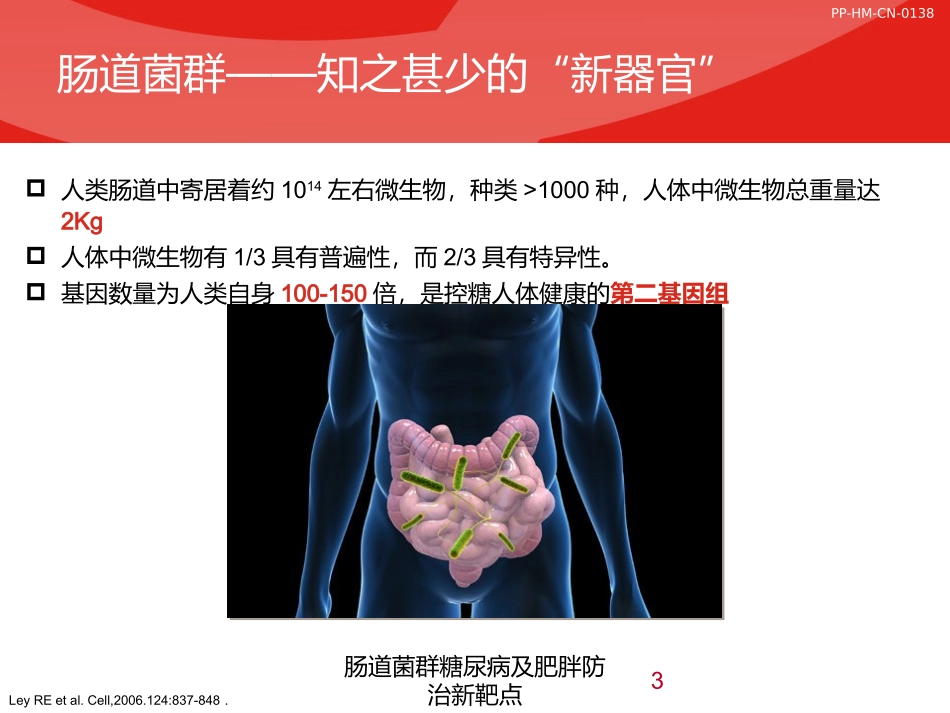 肠道菌群糖尿病及肥胖防治新靶点培训课件.pptx_第3页