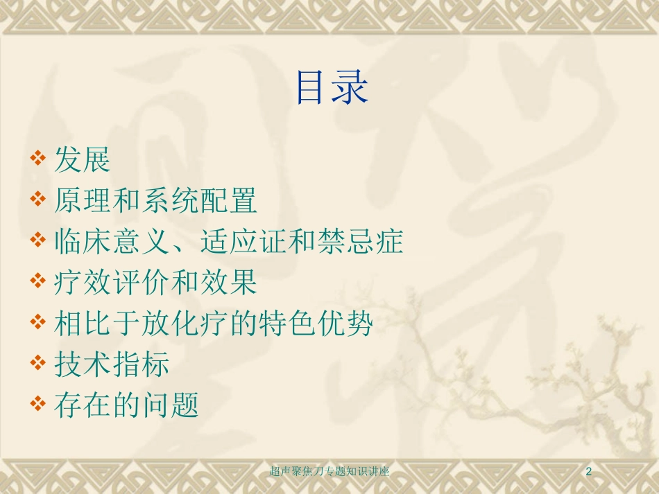 超声聚焦刀专题知识讲座培训课件.pptx_第2页