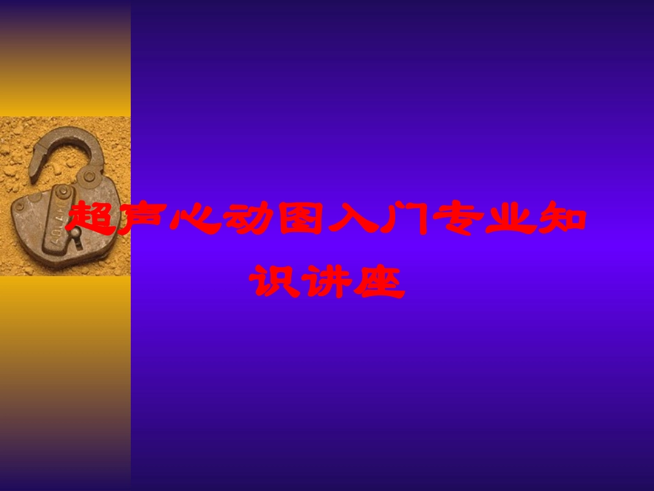 超声心动图入门专业知识讲座培训课件.pptx_第1页