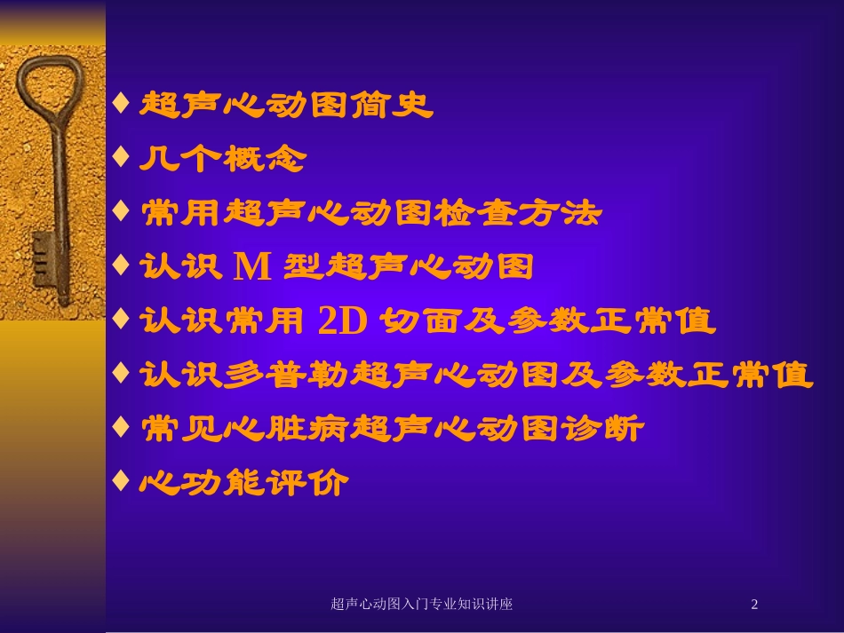 超声心动图入门专业知识讲座培训课件.pptx_第2页