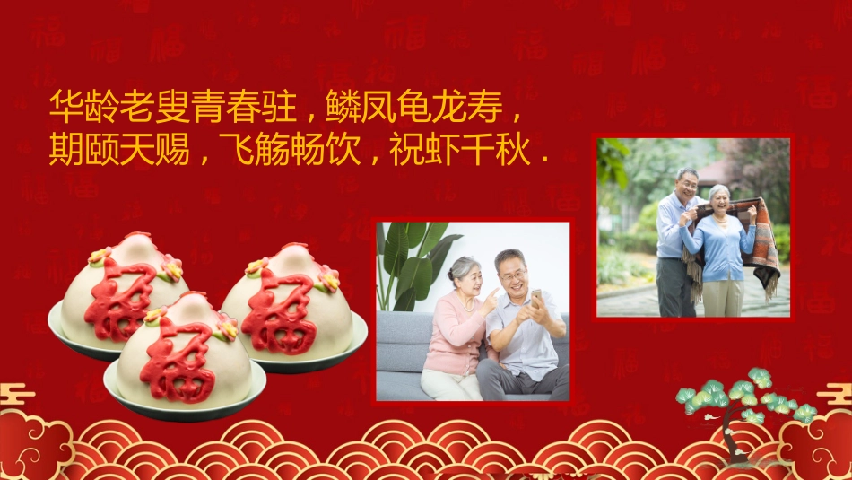 老人祝寿生日28.pptx_第3页