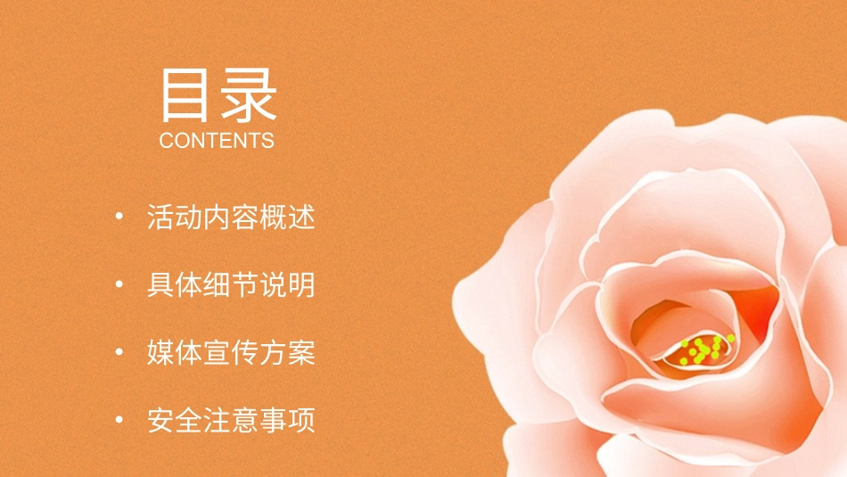 母亲节主题班会531.pptx_第2页