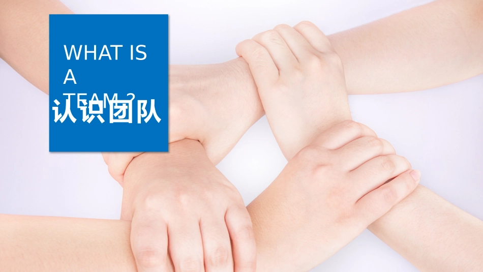 企业管理培训礼仪培训55.pptx_第3页