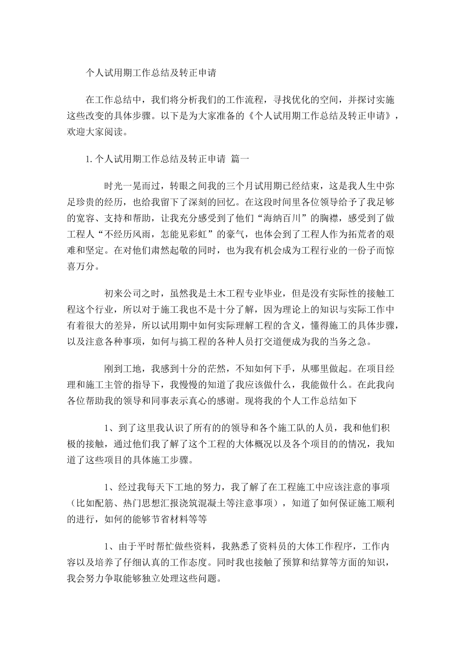 个人试用期工作总结及转正申请.docx_第1页