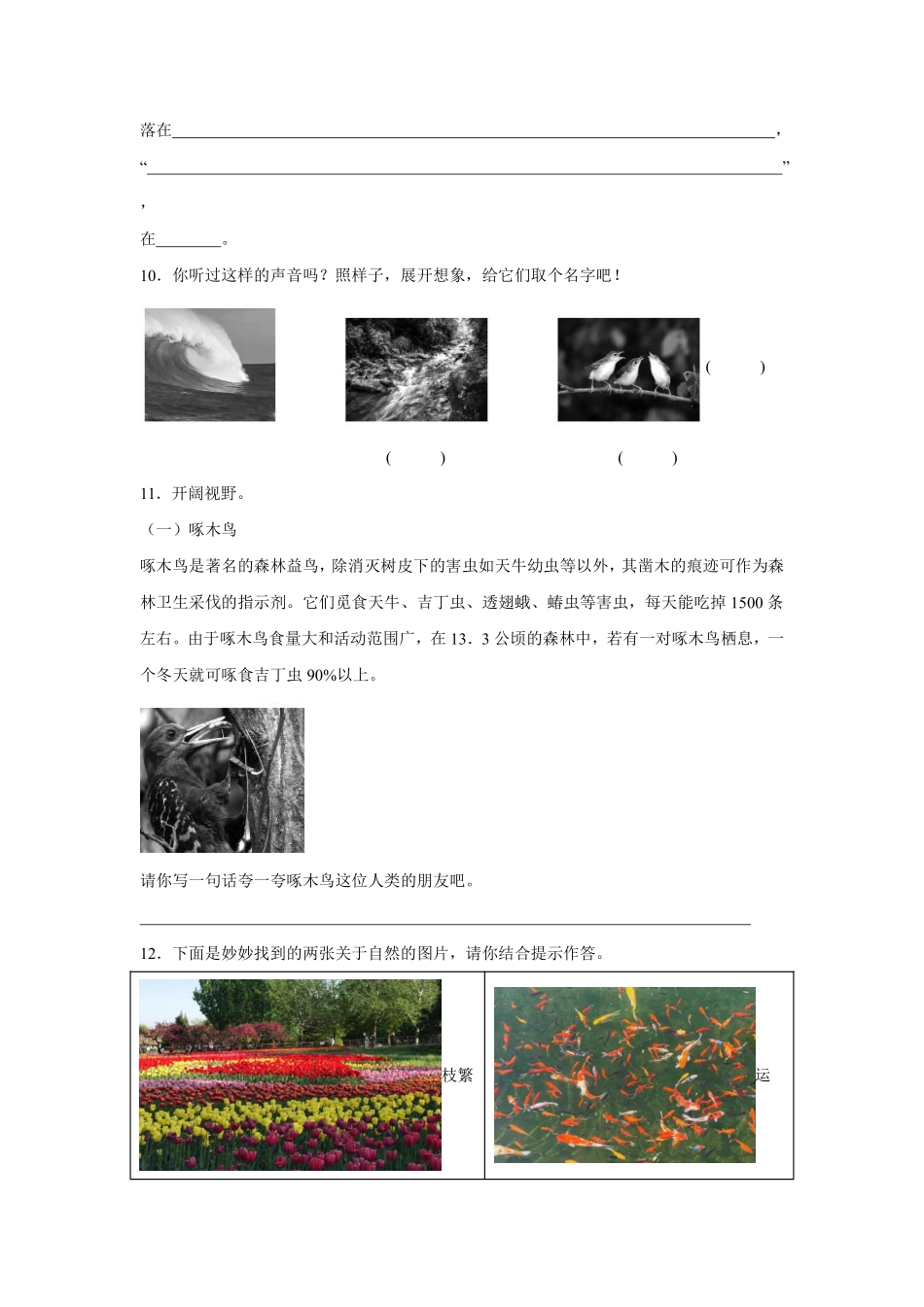 第7单元闯关必刷02句法实践-统编版语文三年级上册测试练习试卷（含答案）.pdf_第3页