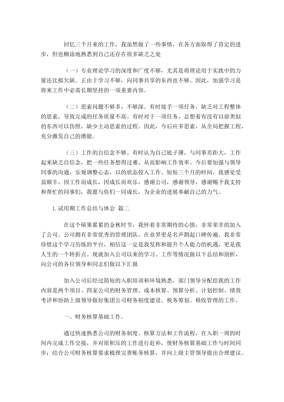 试用期工作总结与体会（精选10篇）.docx_第2页
