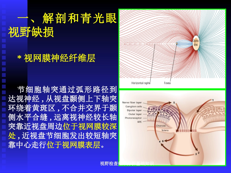 视野检查结果分析基础知识培训课件.pptx_第3页