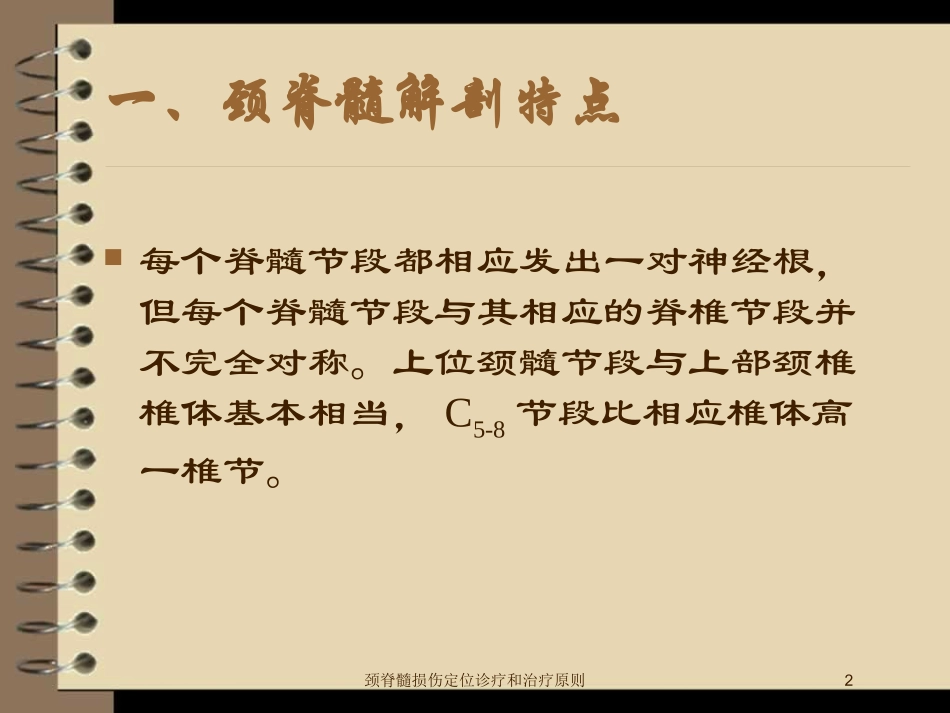 颈脊髓损伤定位诊疗和治疗原则培训课件.pptx_第2页