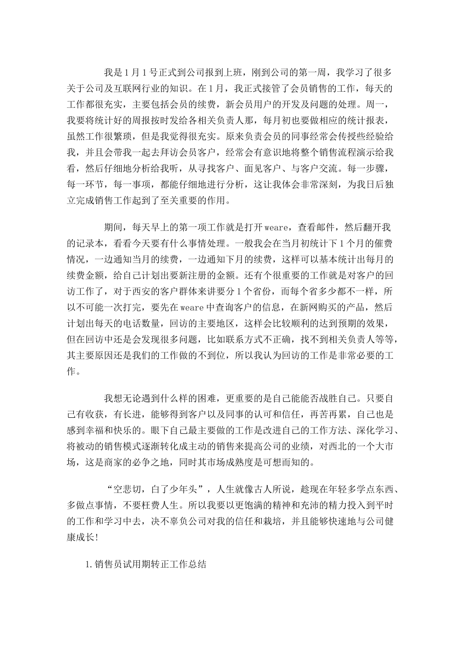 销售员试用期转正工作总结5篇.docx_第3页
