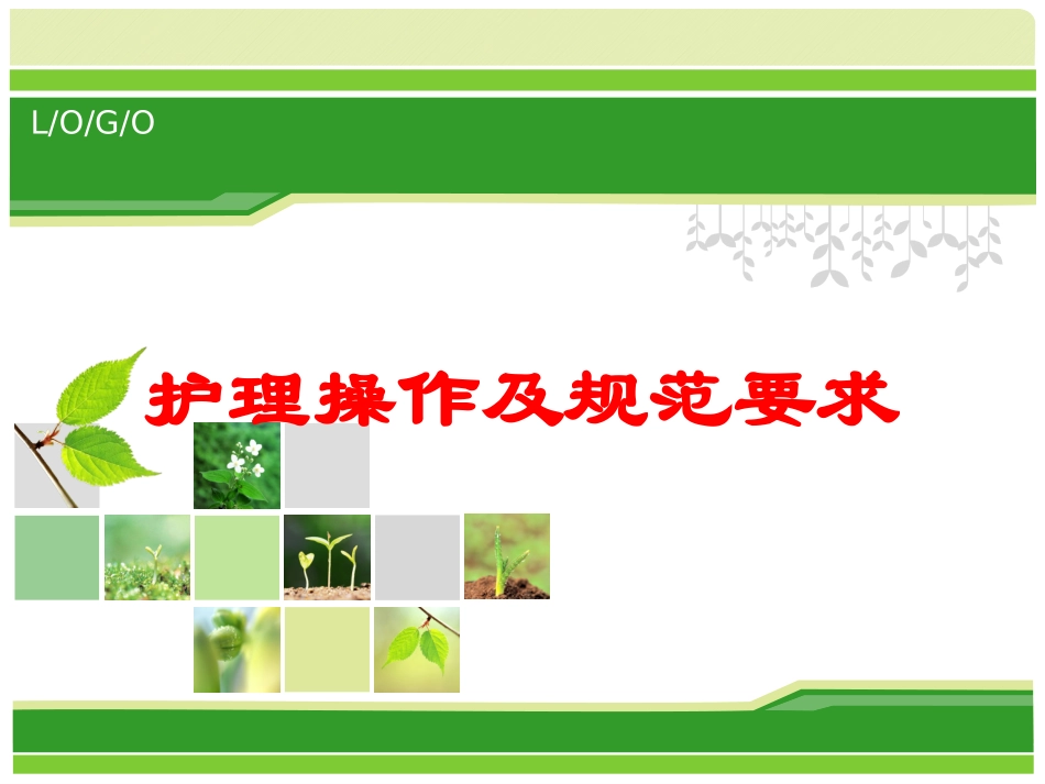 护理操作及规范要求培训课件.pptx_第1页
