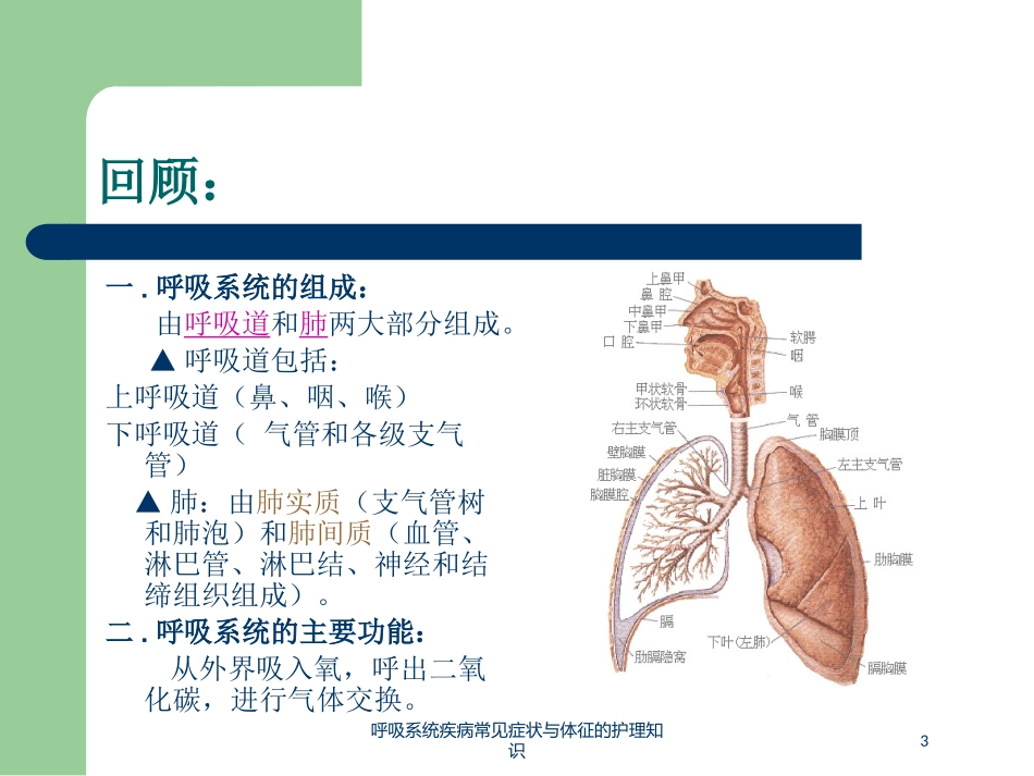 呼吸系统疾病常见症状与体征的护理知识培训课件.pptx_第3页
