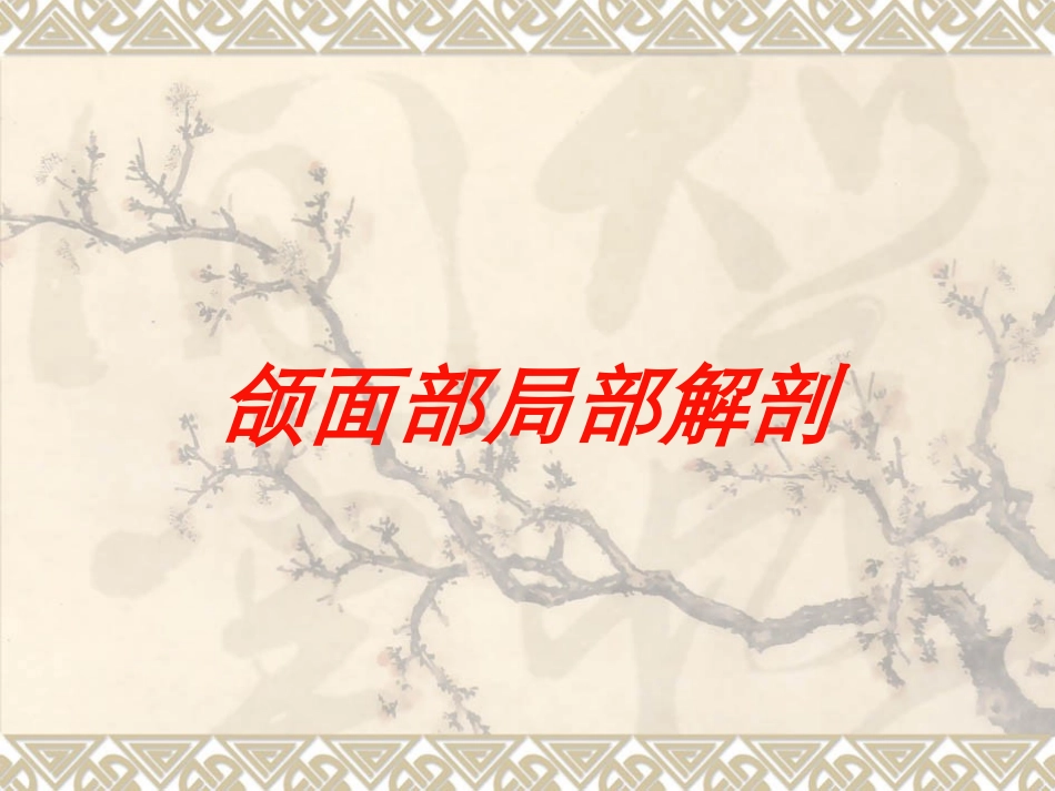 颌面部局部解剖培训课件.pptx_第1页