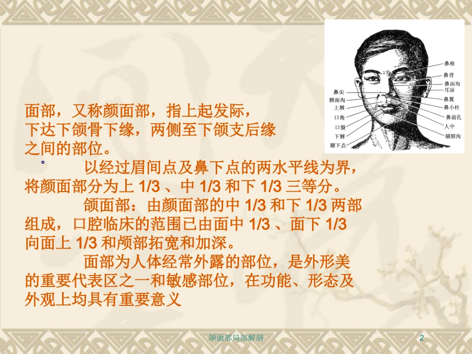 颌面部局部解剖培训课件.pptx_第2页