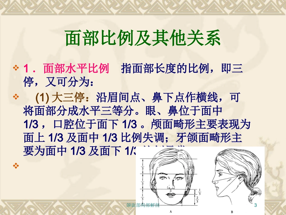颌面部局部解剖培训课件.pptx_第3页