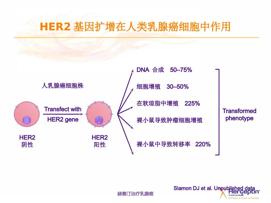 赫赛汀治疗乳腺癌培训课件.pptx_第2页