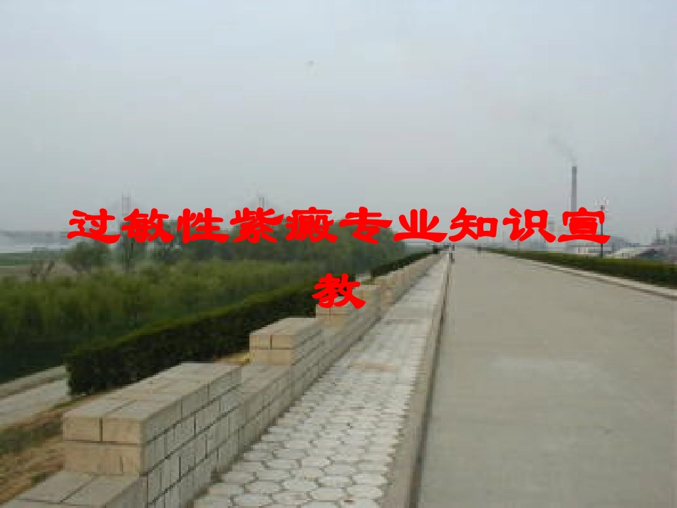 过敏性紫癜专业知识宣教培训课件.pptx_第1页
