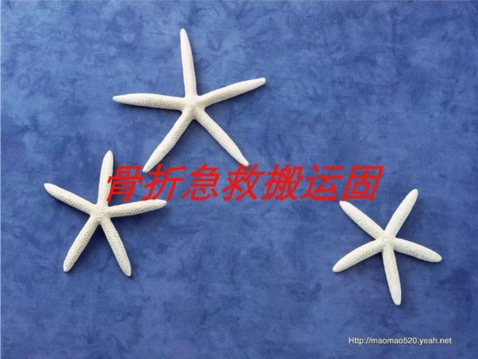 骨折急救搬运固培训课件.pptx_第1页