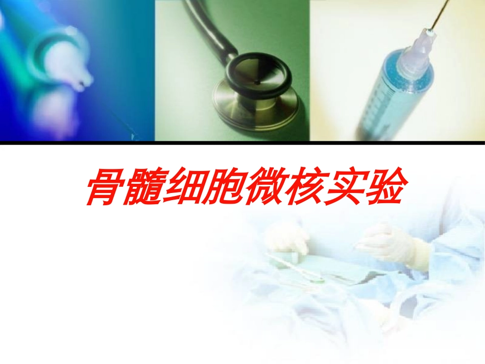 骨髓细胞微核实验培训课件.pptx_第1页