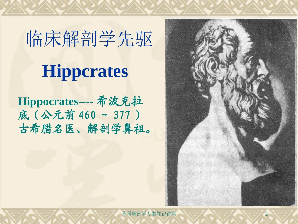 骨科解剖学专题知识讲座培训课件.pptx_第2页
