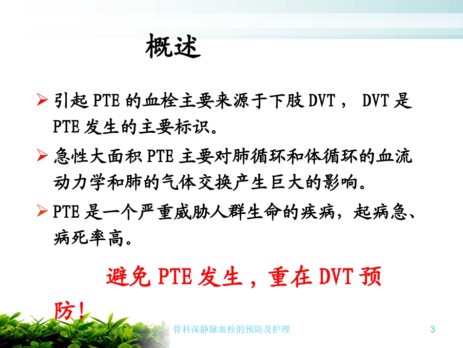 骨科深静脉血栓的预防及护理培训课件.pptx_第3页
