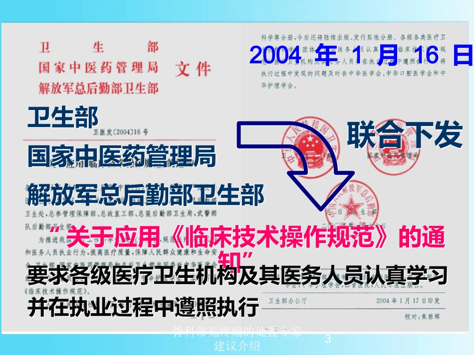 骨科常见疼痛的处置专家建议介绍培训课件.pptx_第3页