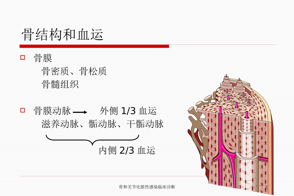 骨和关节化脓性感染临床诊断培训课件.pptx_第2页