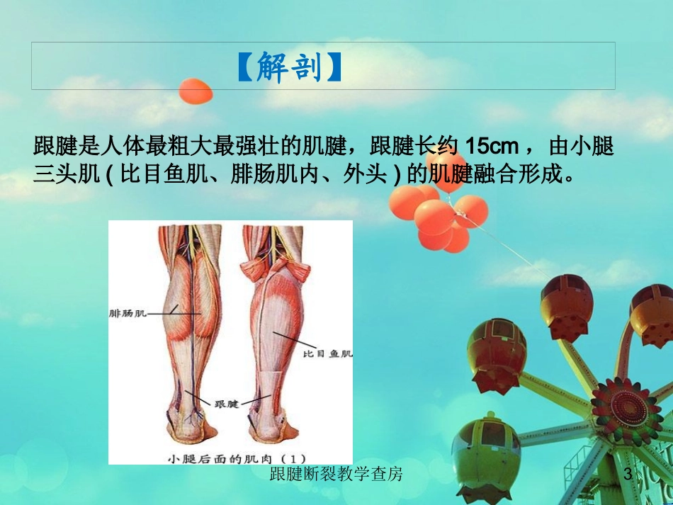 跟腱断裂教学查房培训课件.pptx_第3页