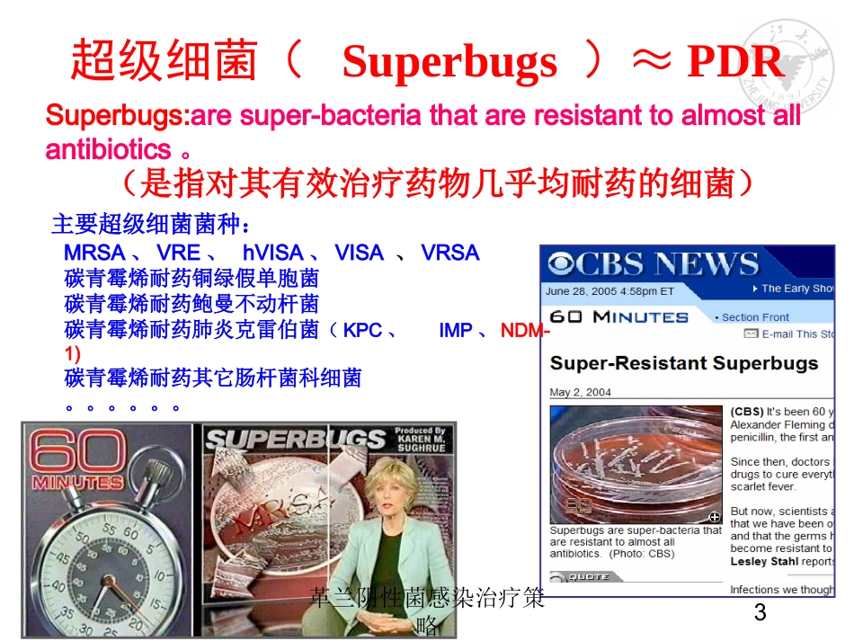 革兰阴性菌感染治疗策略培训课件.pptx_第3页