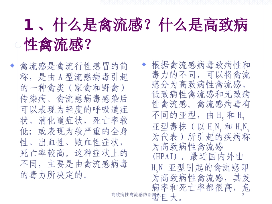 高致病性禽流感防治知识培训课件.pptx_第3页