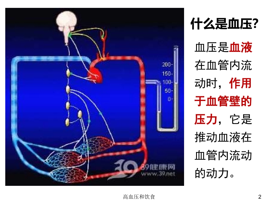 高血压和饮食培训课件.pptx_第2页