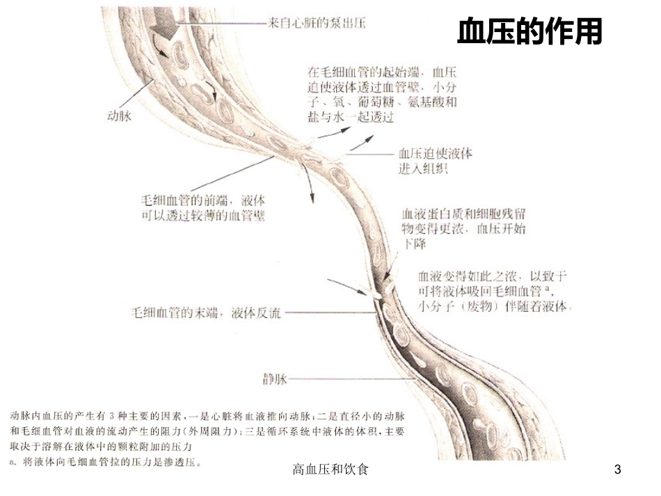 高血压和饮食培训课件.pptx_第3页
