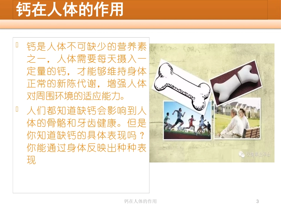 钙在人体的作用培训课件.pptx_第3页