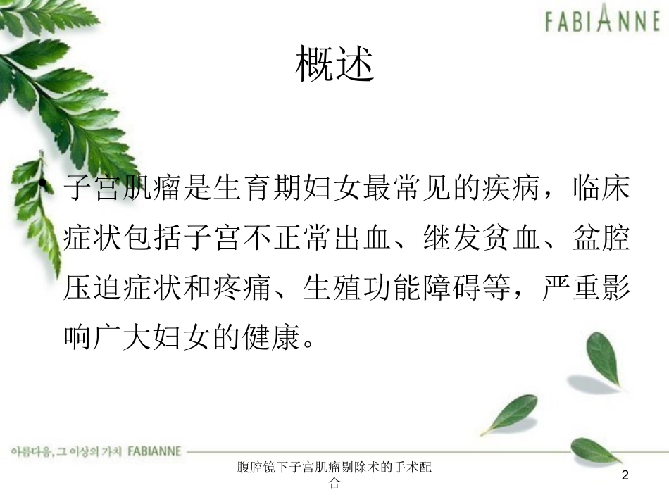 腹腔镜下子宫肌瘤剔除术的手术配合培训课件.pptx_第2页