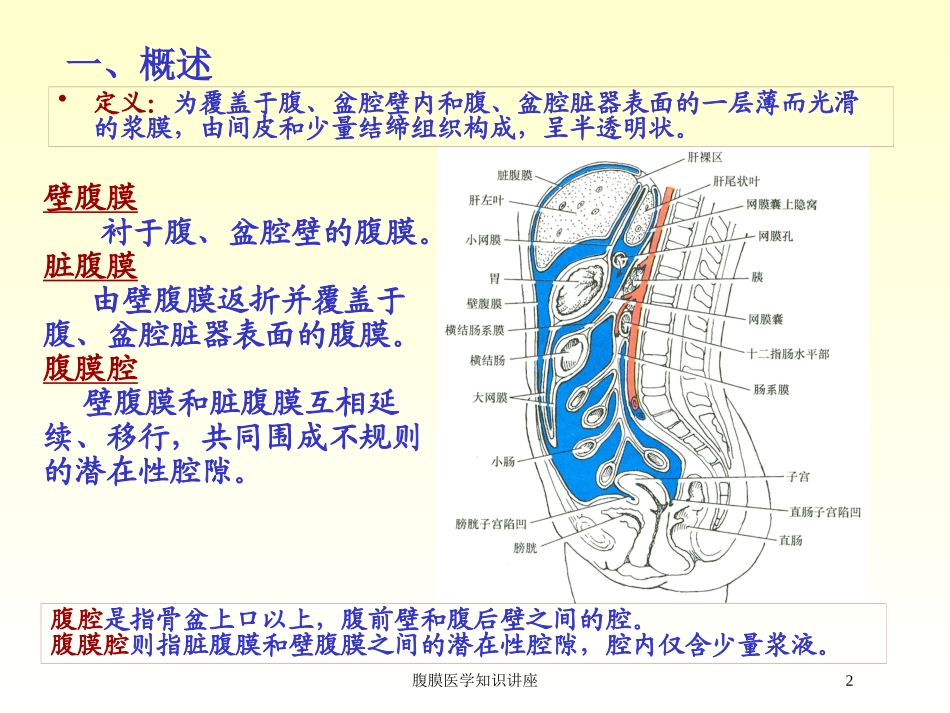 腹膜医学知识讲座培训课件.pptx_第2页