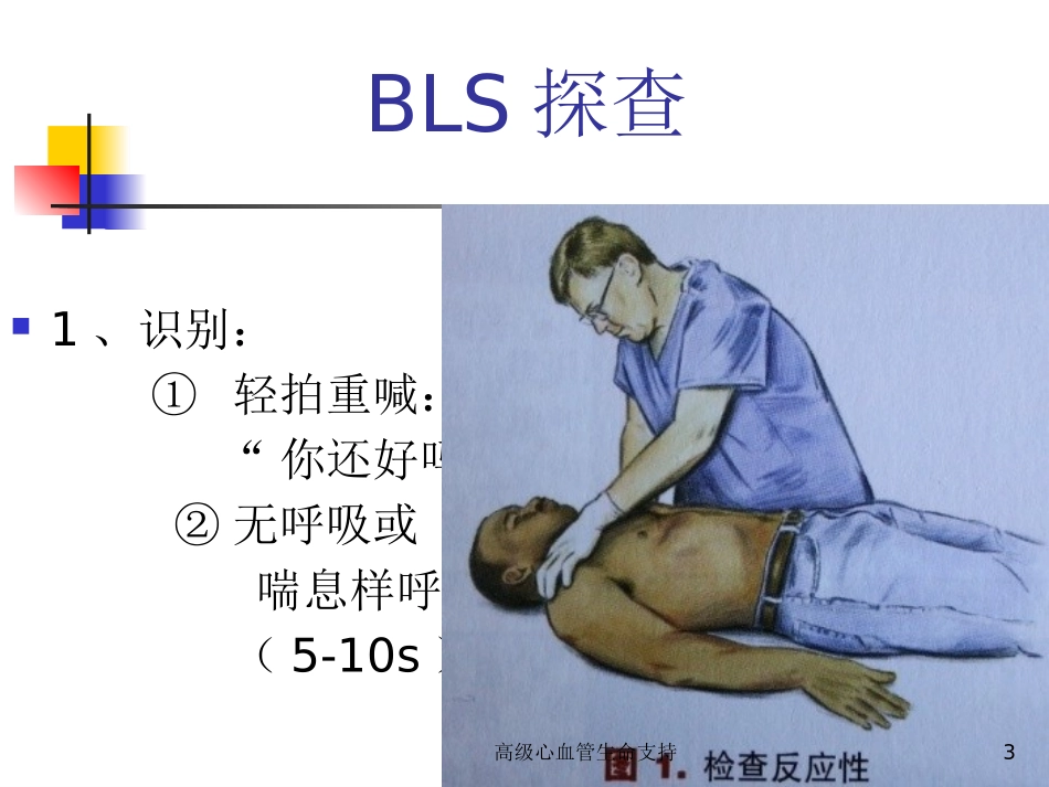 高级心血管生命支持培训课件.pptx_第3页