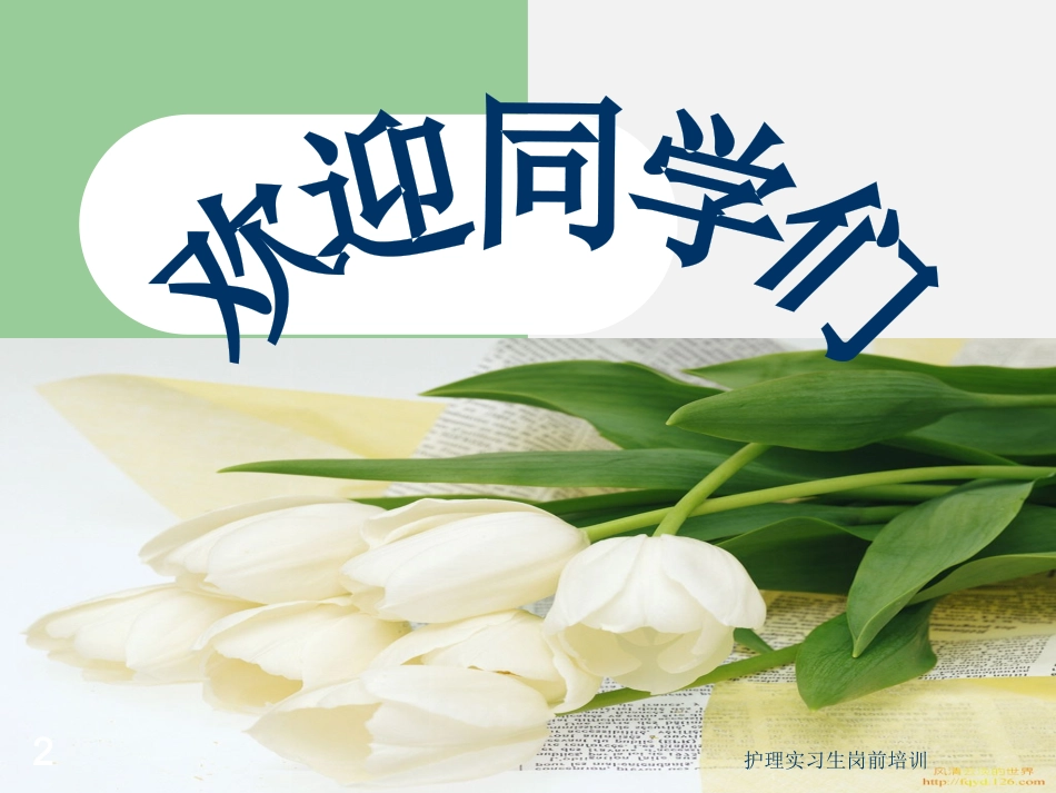 护理实习生岗前培训培训课件.pptx_第2页