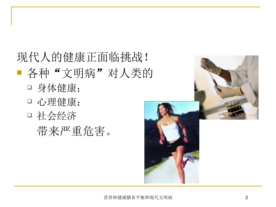 营养和健康膳食平衡和现代文明病培训课件.pptx_第2页