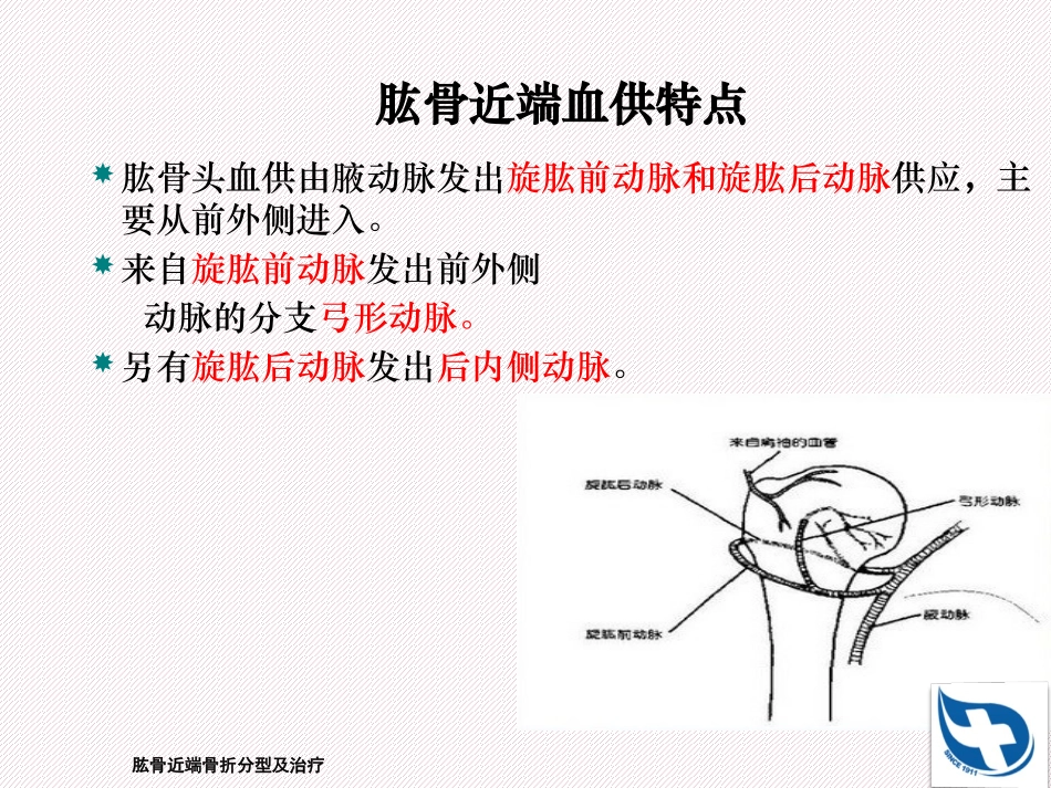 肱骨近端骨折分型及治疗培训课件.pptx_第3页