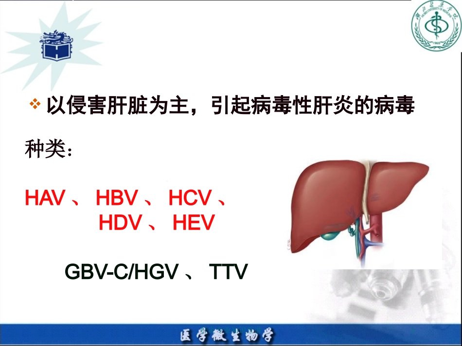 肝炎专业知识宣讲培训课件.pptx_第2页