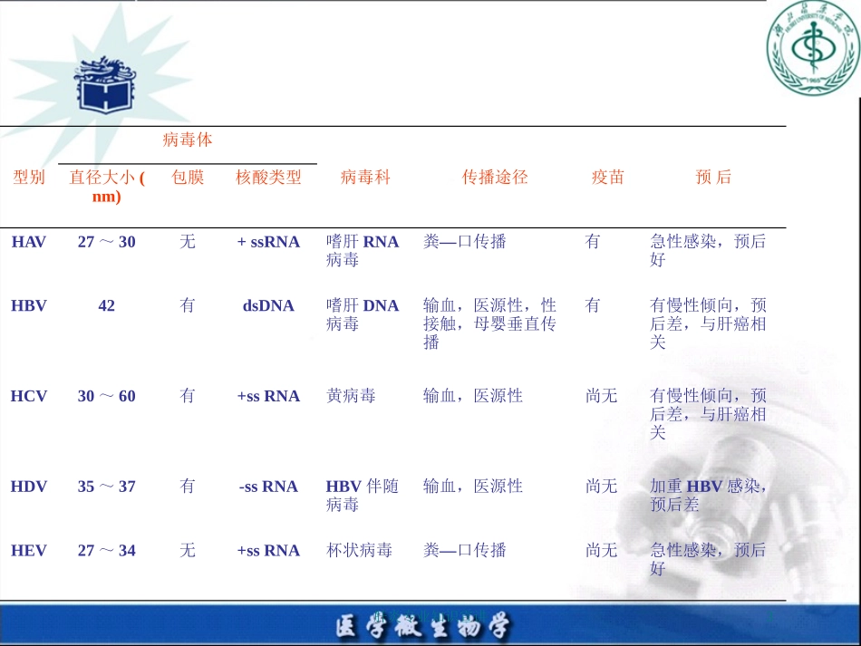 肝炎专业知识宣讲培训课件.pptx_第3页