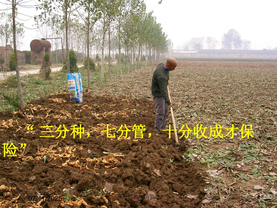 药用植物田间管理培训课件.pptx_第2页